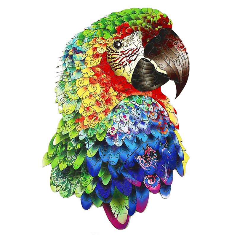 Macaw Parrot